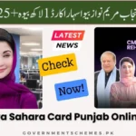 CM-Punjab-Bewa-Sahara-Card