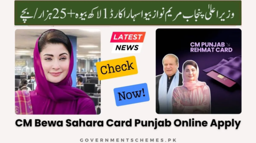 CM-Punjab-Bewa-Sahara-Card