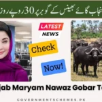 CM-Punjab-Maryam-Nawaz-Gobar-Tax