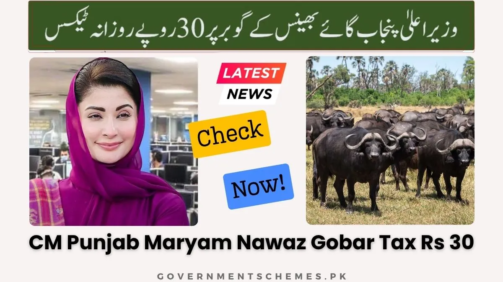 CM-Punjab-Maryam-Nawaz-Gobar-Tax