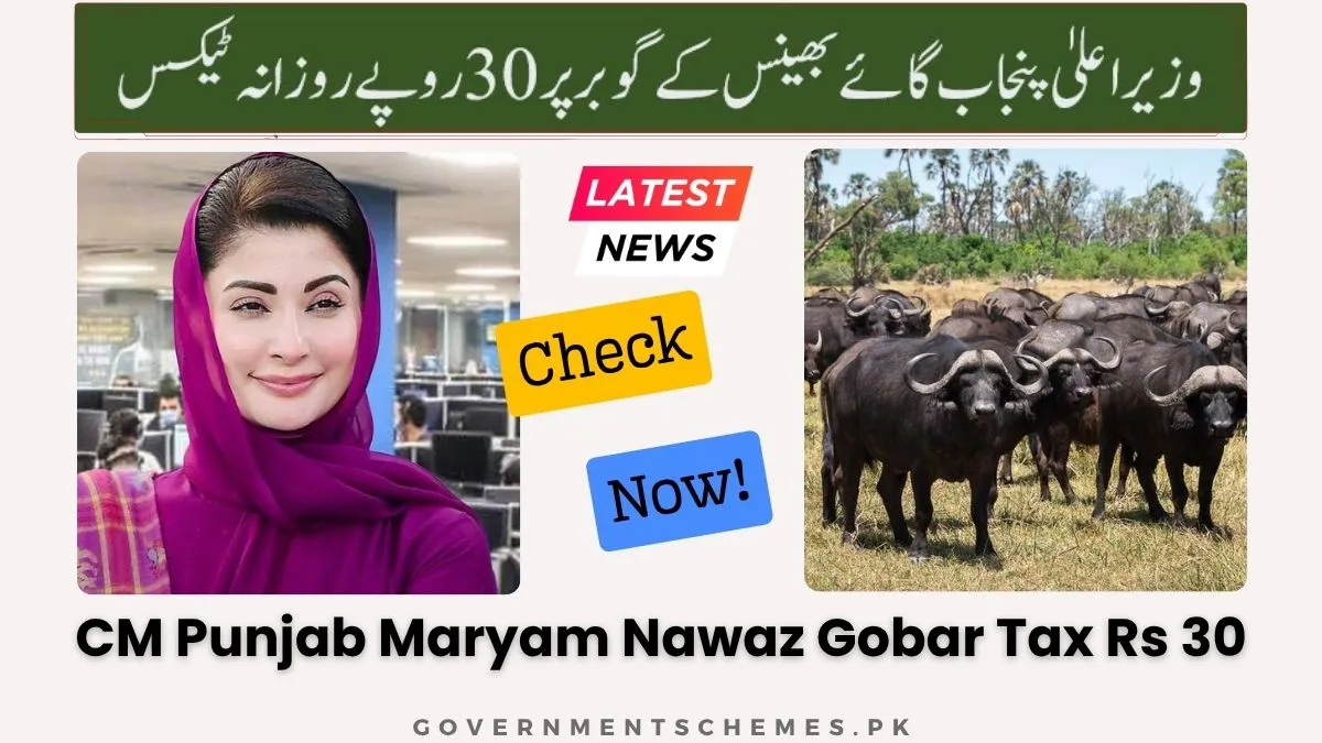 Gobar Tax (By CM Punjab Rs 30 Per Day) | Cow Buffalos Dung Tax 1 CM-Punjab-Maryam-Nawaz-Gobar-Tax