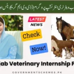 CM-Punjab-Veterinary-Internship-Program