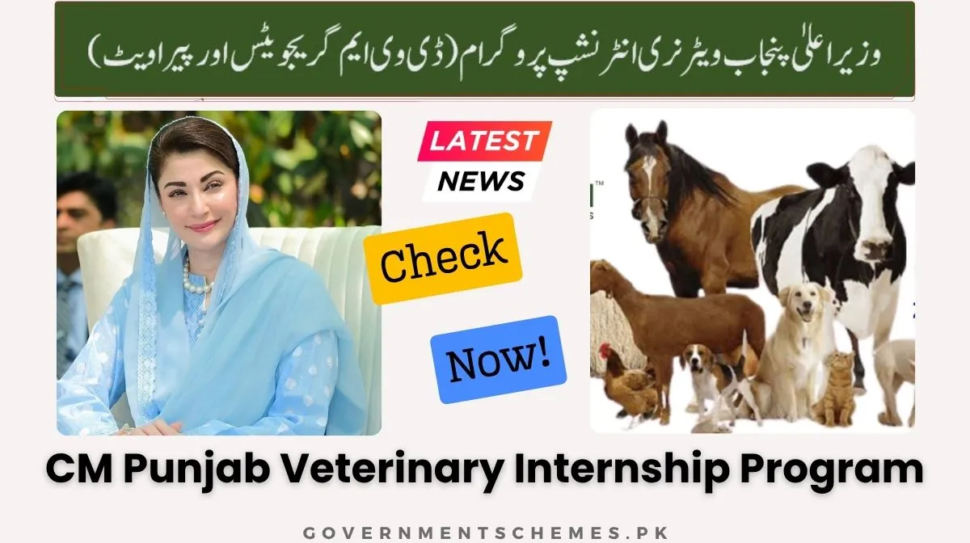 CM-Punjab-Veterinary-Internship-Program