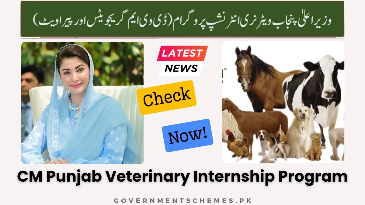 CM Punjab Veterinary Internship Program (For DVM Graduates & Paravets) 9 CM-Punjab-Veterinary-Internship-Program