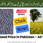 Canola-Seed-Price-in-Pakistan