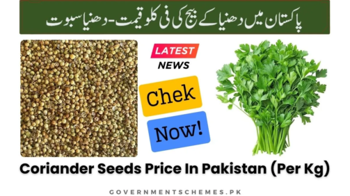 Coriander-Seeds-Price-In-Pakistan