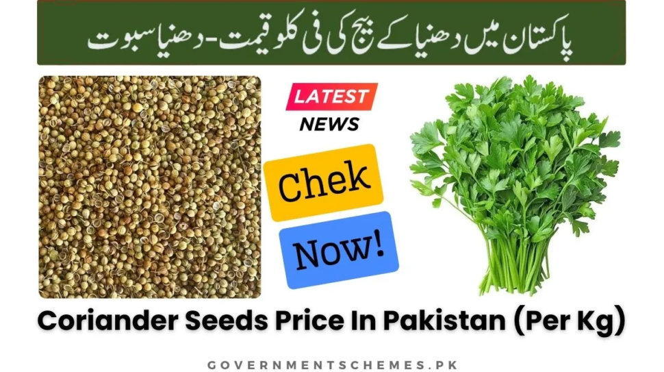 Coriander-Seeds-Price-In-Pakistan