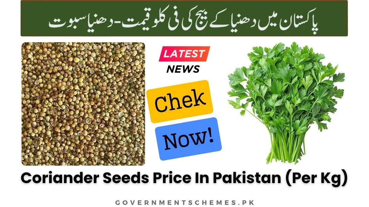 Coriander-Seeds-Price-In-Pakistan
