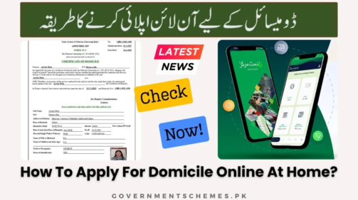 Domicile-Online-Apply