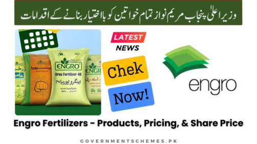 Engro-Fertilizers-Products-Pricing-&-Share-Price