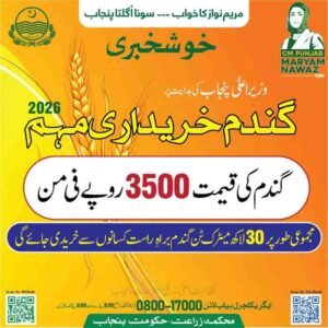 Today Wheat Price In Pakistan - Government Rate Per 40 Kg