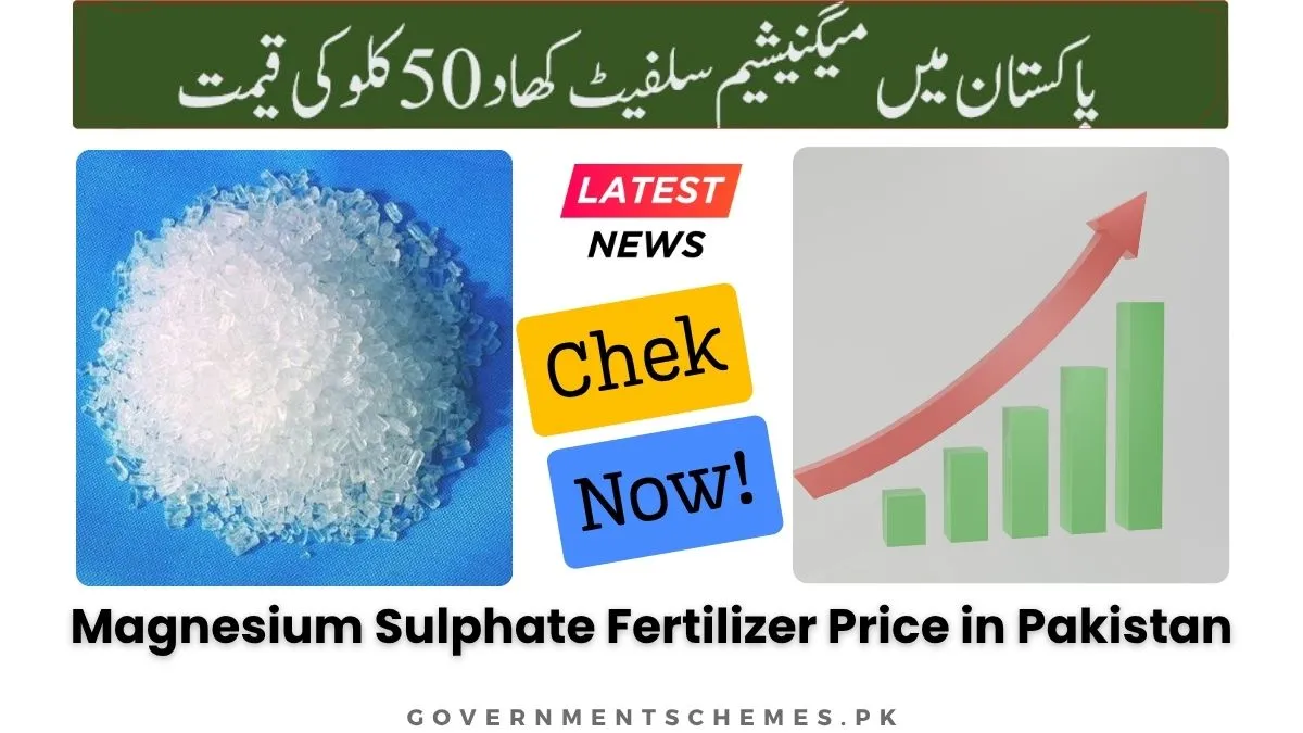 Magnesium-Sulphate-Fertilizer-Price-In-Pakistan