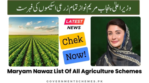 Maryam-Nawaz-List-of-All-Agriculture-Schemes