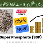 Single-Super-Phosphate-SSP-50kg-Price