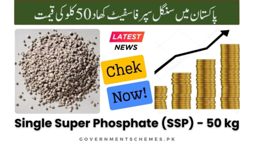 Single-Super-Phosphate-SSP-50kg-Price