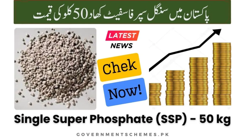 Single-Super-Phosphate-SSP-50kg-Price