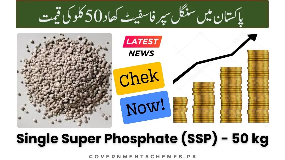 Single-Super-Phosphate-SSP-50kg-Price