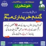 Today Wheat Price In Pakistan - Government Rate Per 40 Kg