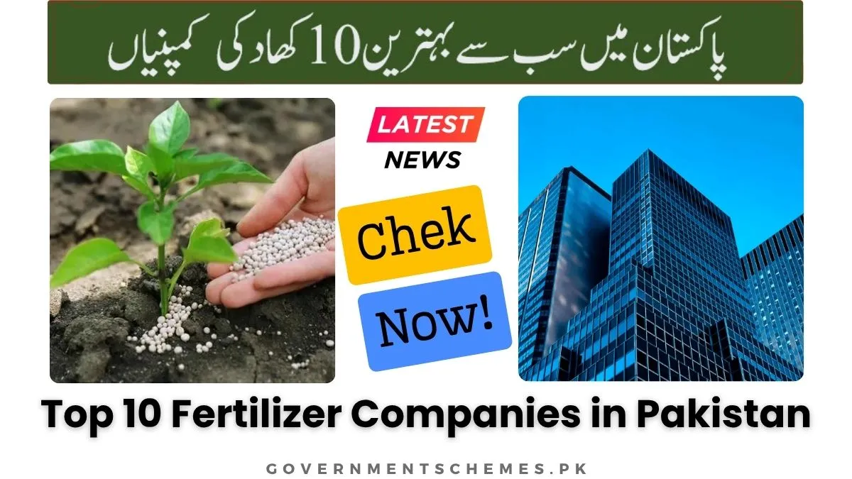 Top-10-Fertilizer-Companies-in-Pakistan