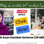 CM-Punjab-Asan-Karobar-Scheme-30 Million-Loan