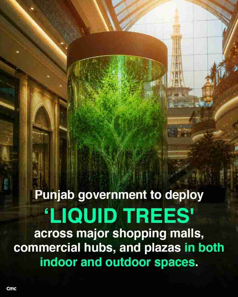 Liquid Trees: What They Are, Their Benefits, & How They Work? 1 CM-Punjab-Liquid-Trees-Program