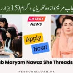 CM-Punjab-Maryam-Nawaz-She-Threads-Program-PKR-15K-Month