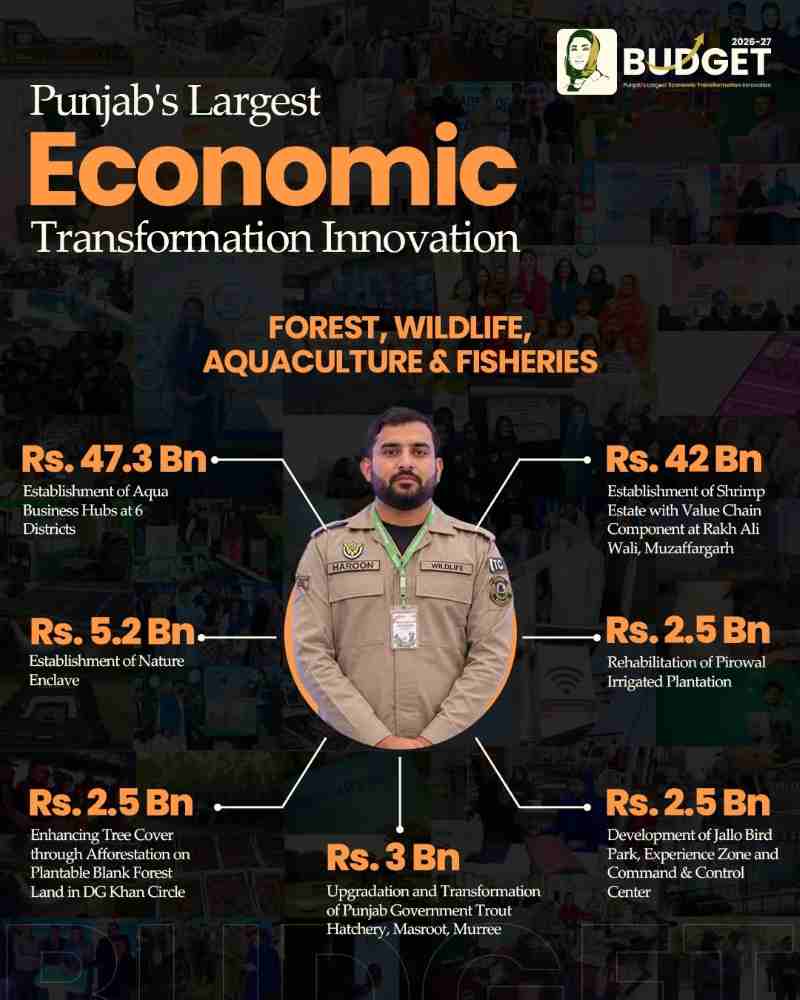 Punjab Budget 2026-27: Major Expenditures, Tax Relief, & Budget Highlights 5 Punjab-Economic-Budget