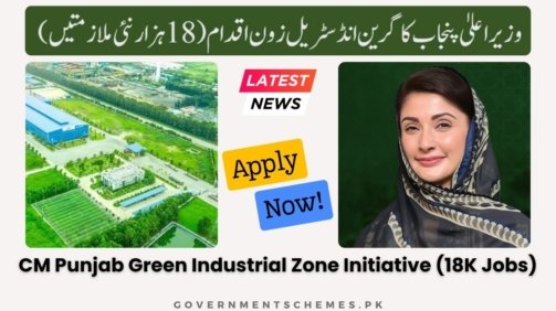 CM-Punjab-Green-Industrial-Zone-Initiative