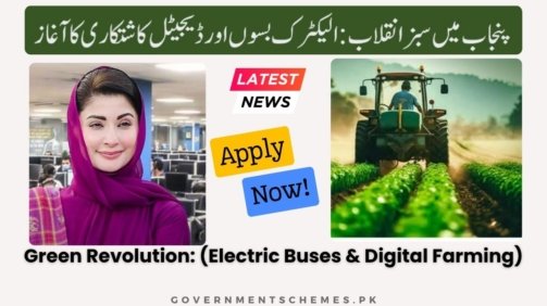 Green-Revolution-In-Punjab