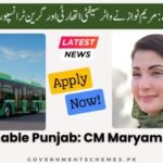 Sustainable -Punjab -Maryam -Nawaz -Water -Safety -Authority